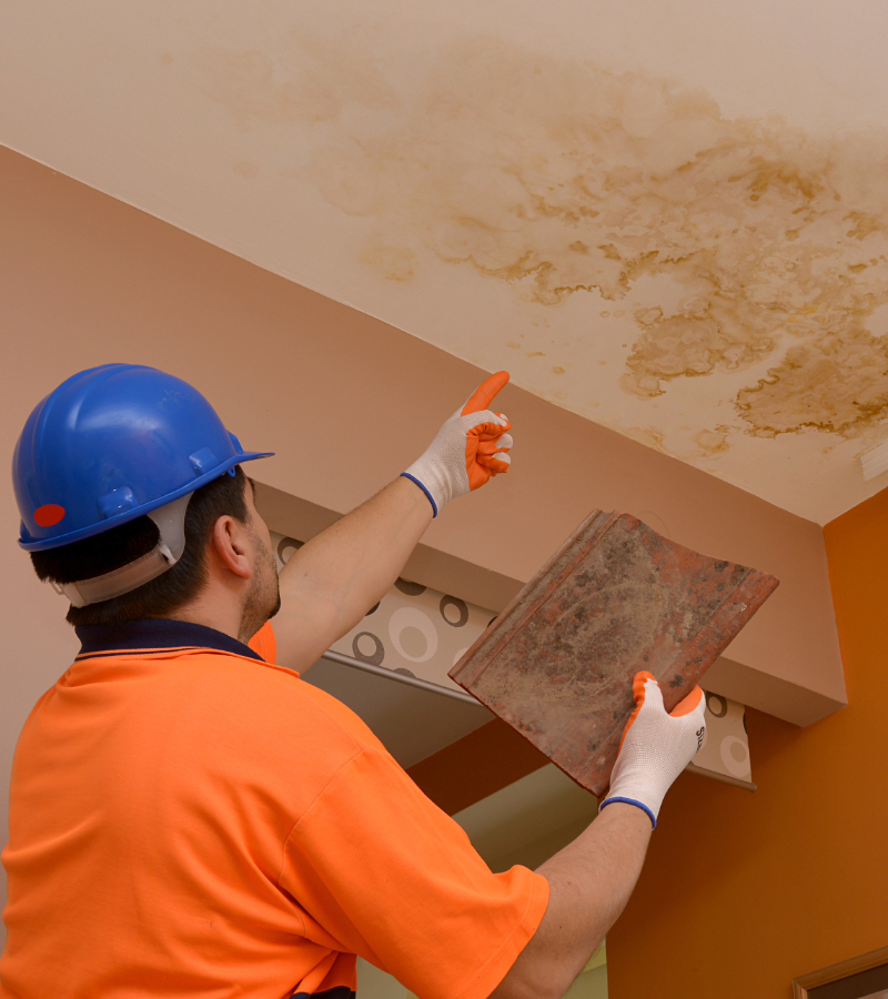 Signs You Have Roof Damage Signs You Have Roof Damage